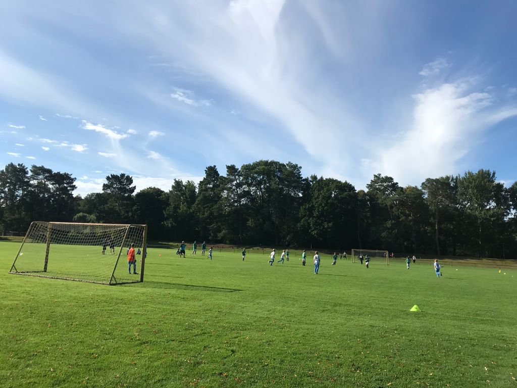 Eintracht Falkensee D2 startet in den Twin-Pilotliga Landesspielbetrieb